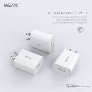 WEX - V8-laddare, väggladdare, nätadapter