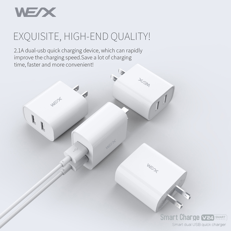 WEX V24 Fast Wall Charger Public